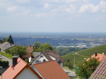 Blick von der Terrasse in Rheintal